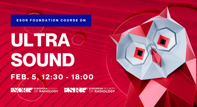 ESOR FOUNDATION COURSES 2025 – Ultrasound